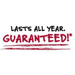 Subject Notebooks|Five Star Flex 5-Subject Subject Notebooks, 8.5