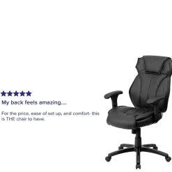 Ergonomic Chairs*Flash Furniture Hansel Ergonomic LeatherSoft Swivel High Back Executive Office Chair, Black (BT9835H)