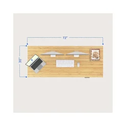 Standing Desks*FlexiSpot E7 Pro 72