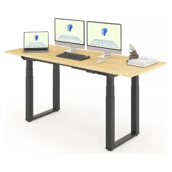 Standing Desks*FlexiSpot E7Q 78