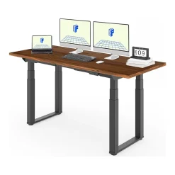 Standing Desks*FlexiSpot E7Q 72