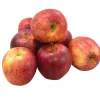 Fresh Groceries Fresh Gala Apples, 8/Pack (900-00032)