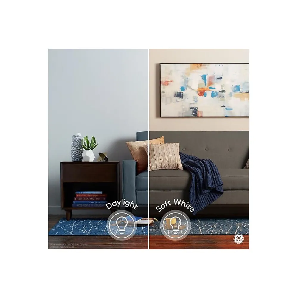 GE Basic 8.5 Watt Soft White LED neral-Purpose Bulb, 2/Pack (93131320)