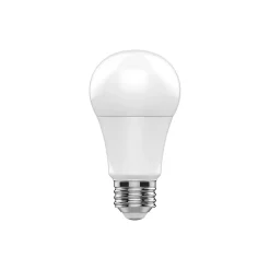 GE Basic 13 Watt Soft White LED neral-Purpose Bulb, 2/Pack (93131322)
