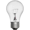 GE Lighting 40 Watts Clear Incandescent Bulb (15206)