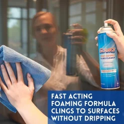 Powerized Professional Glass Cleaner, 19 Oz (904553)<Glance Best