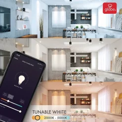 Globe Electric A19-Shape E26-Base Wi-Fi Tunable 60-Watt-Equivalent Frosted Smart LED Light Bulb, Color Changing RGB (34212)