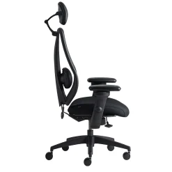 Office Chairs*Gry Mattr + ergoCentric sCentric Hybrid Task Chair, Black (sCentricST)