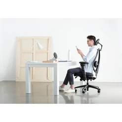 Office Chairs*Gry Mattr + ergoCentric sCentric Hybrid Task Chair, Black (sCentricST)