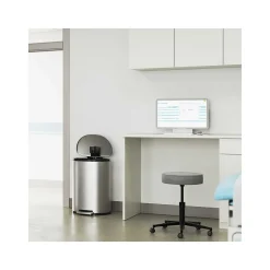 Stainless Steel Trash Can with Hinged Lid, 13.2-Gallon, Silver (HLSS13DFR)<HLS Commercial Best