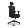 Office Chairs*HON Altern Mesh Swivel Task Chair, Black (HPTCC1-T1UM.BLK)