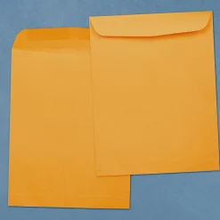 Best JAM Paper #15 1/2 Catalog Envelope, 12