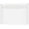 JAM Paper 8.75 x 11.5 Booklet Translucent Vellum Envelopes, Clear, 25/Pack (2851370)