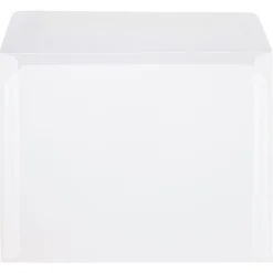 Clearance JAM Paper 10" x 13" Booklet Translucent Vellum Envelopes, Clear, 10/Pack (900840420D)