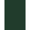 Card Stock*JAM Paper 12" x 18" Cardstock, Green Linen, 50/pack (1218-C-GNLI-50)