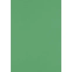 Card Stock*JAM Paper 12" x 18" Cardstock, Holiday Green, 50/pack (1218-C-L17-50)