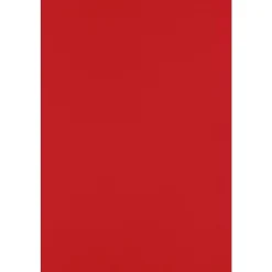 Card Stock*JAM Paper 12" x 18" Cardstock, Ruby Red, 50/pack (1218-C-18-50)