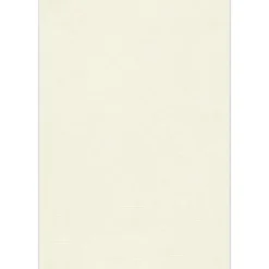 Multipurpose Paper*JAM Paper 13" x 19" Multipurpose Paper 80 lbs., Natural Linen, 50 Sheets/Ream /Pack (1319-P-NLI-50)