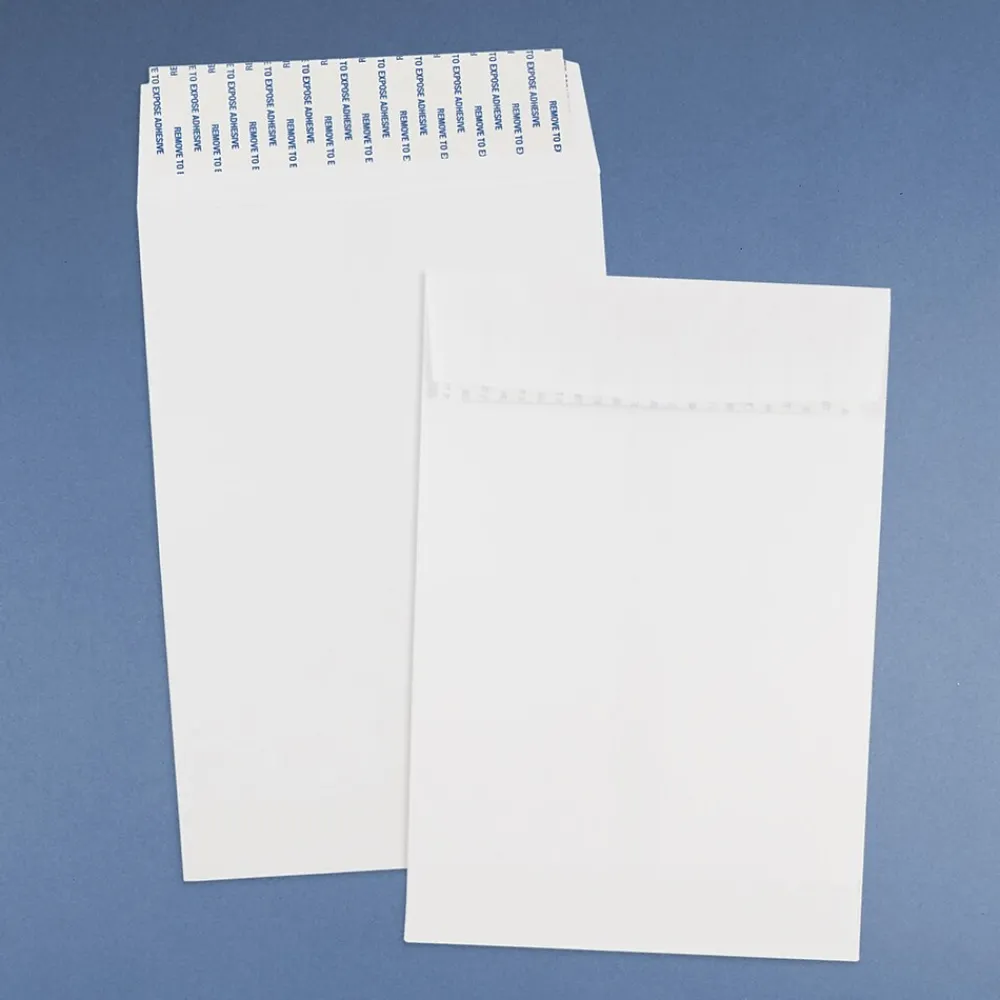Best JAM Paper ® 6 x 9 Open End Catalog Envelopes with Peel and Seal Closure, White, 25/Pack (356828777A)