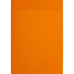 Online JAM Paper 6 x 9 Open End Envelopes ,Mandarin Orange, 50 Pack, Orange (EX1644-11-50)