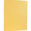 Card Stock*JAM Paper 8.5" x 11" Vellum Bristol Index Cardstock, 100lb, Buff, 100/pack (169854G)