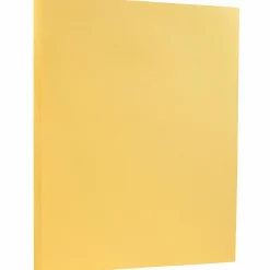 Card Stock*JAM Paper 8.5" x 11" Vellum Bristol Index Cardstock, 100lb, Buff, 100/pack (169854G)