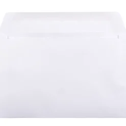 Hot JAM Paper Booklet Commercial Envelopes, 6" x 9", White, 50/Pack (4238i)