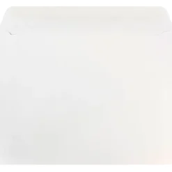 Clearance JAM Paper Booklet Envelopes, 10" x 13", White, 25/Pack (4023222)