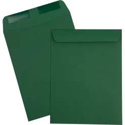 Clearance JAM Paper Catalog Envelope 9