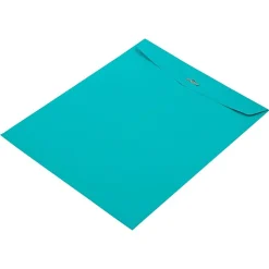 Hot JAM Paper Clasp Catalog Envelope 10