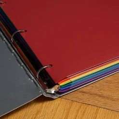 Pocket Folders|JAM Paper Heavy Duty 3 Hole Punch 2 Pocket Folder, Plastic, Assorted Primary Colors, 12/Pack (383HHPrgbypblb)