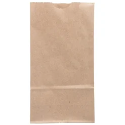 JAM Paper Kraft Lunch Bags, Brown, 25/Pack (690KRBR)