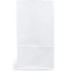 JAM Paper Kraft Lunch Bags, Large, 6" x 11" x 3.5", White, 25/Pack (692KRWH)