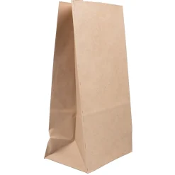 Lunch Totes & Water Bottles|JAM Paper Kraft Lunch Bag, Large, 6" x11" x 3.5", Brown, 500/Pack (692KRBRB)