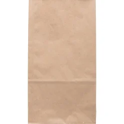 Lunch Totes & Water Bottles|JAM Paper Kraft Lunch Bag, Large, 6" x11" x 3.5", Brown, 500/Pack (692KRBRB)