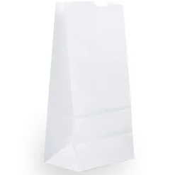 Lunch Totes & Water Bottles|JAM Paper Kraft Lunch Bags, 9.75" x 5" x 3", White, 500/Box (691KRWHB)