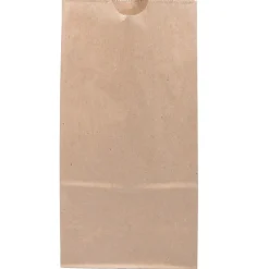 Lunch Totes & Water Bottles|JAM Paper Kraft Lunch Bags, Medium, 5" x 9.75" x 3", Brown Kraft Recycled, Bulk 500 Bags/Box (691KRBRB)