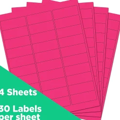 New JAM Paper Laser/Inkjet Address Labels, 1 x 2 5/8, , 30 Labels/Sheet, 4 Sheets/Pack (354328011) Neon Pink