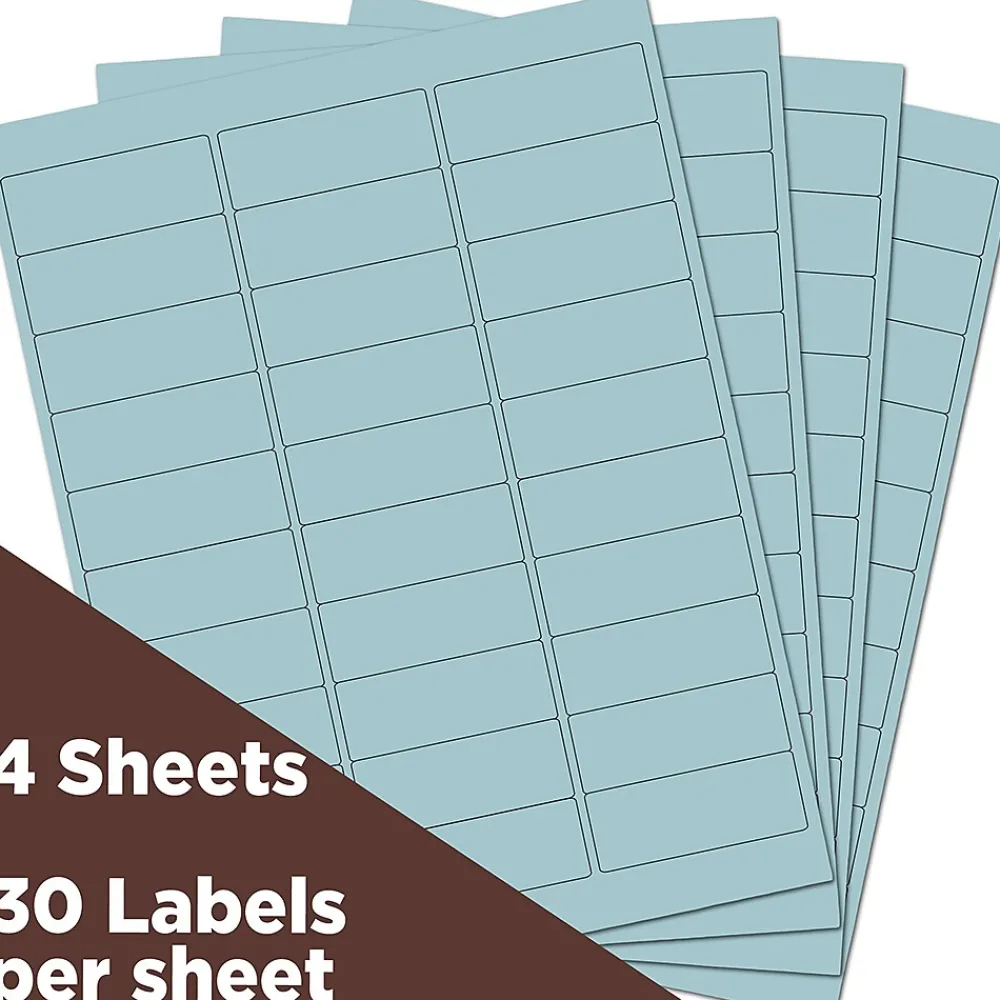 Best JAM Paper Laser/Inkjet Address Label, 1" x 2 5/8", , 30 Labels/Sheet, 4 Sheets/Pack (4052894) Baby Blue