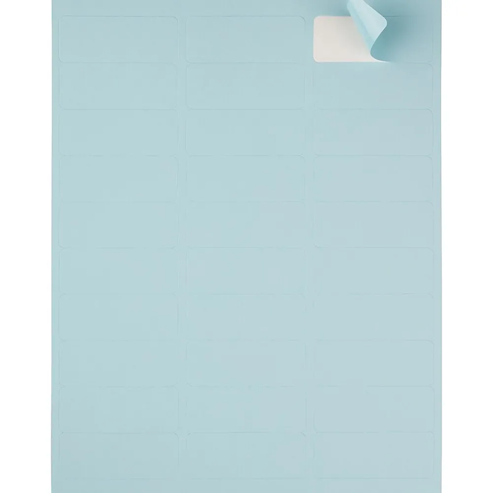 Best JAM Paper Laser/Inkjet Address Label, 1" x 2 5/8", , 30 Labels/Sheet, 4 Sheets/Pack (4052894) Baby Blue