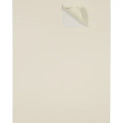 JAM Paper Laser/Inkjet Shipping Shipping Labels, 2