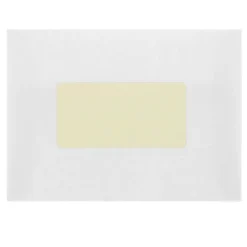 JAM Paper Laser/Inkjet Shipping Shipping Labels, 2