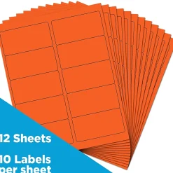Online JAM Paper Laser/Inkjet Shipping Address Labels, 2" x 4", , 10 Labels/Sheet, 12 Sheets/Pack (302725784) Orange