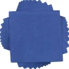 JAM Paper Lunch Napkin, 2-ply, Blue, 50 Napkins/Pack (6255620718)