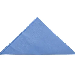 JAM Paper Lunch Napkin, 2-ply, Pastel Blue, 50 Napkins/Pack (62556207PB)