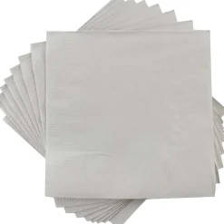 JAM Paper Lunch Napkin, 2-ply, Silver, 600 Napkins/Pack (255628827B)