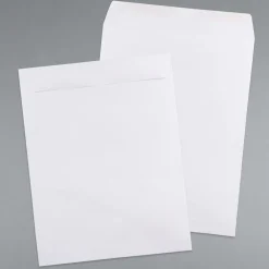 New JAM Paper Open End #15 1/2 Catalog Envelope, 12