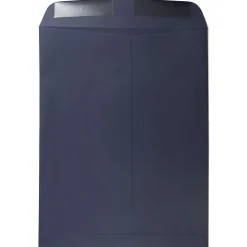 JAM Paper Open End Catalog Envelopes, 10" x 13", Navy Blue, 100/Pack (12828427B)