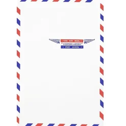 New JAM Paper Open End Catalog Envelope, 6" x 9", White, 25/Pack (1430743)