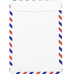 New JAM Paper Open End Catalog Envelope, 6" x 9", White, 25/Pack (1430743)